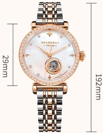 EIERFSKIOT Women's Automatic Wrist Watch Luxury Skeleton Mechanical Diamond Watches for Women Business Fashion Waterproof Ladies Watches - Image 2